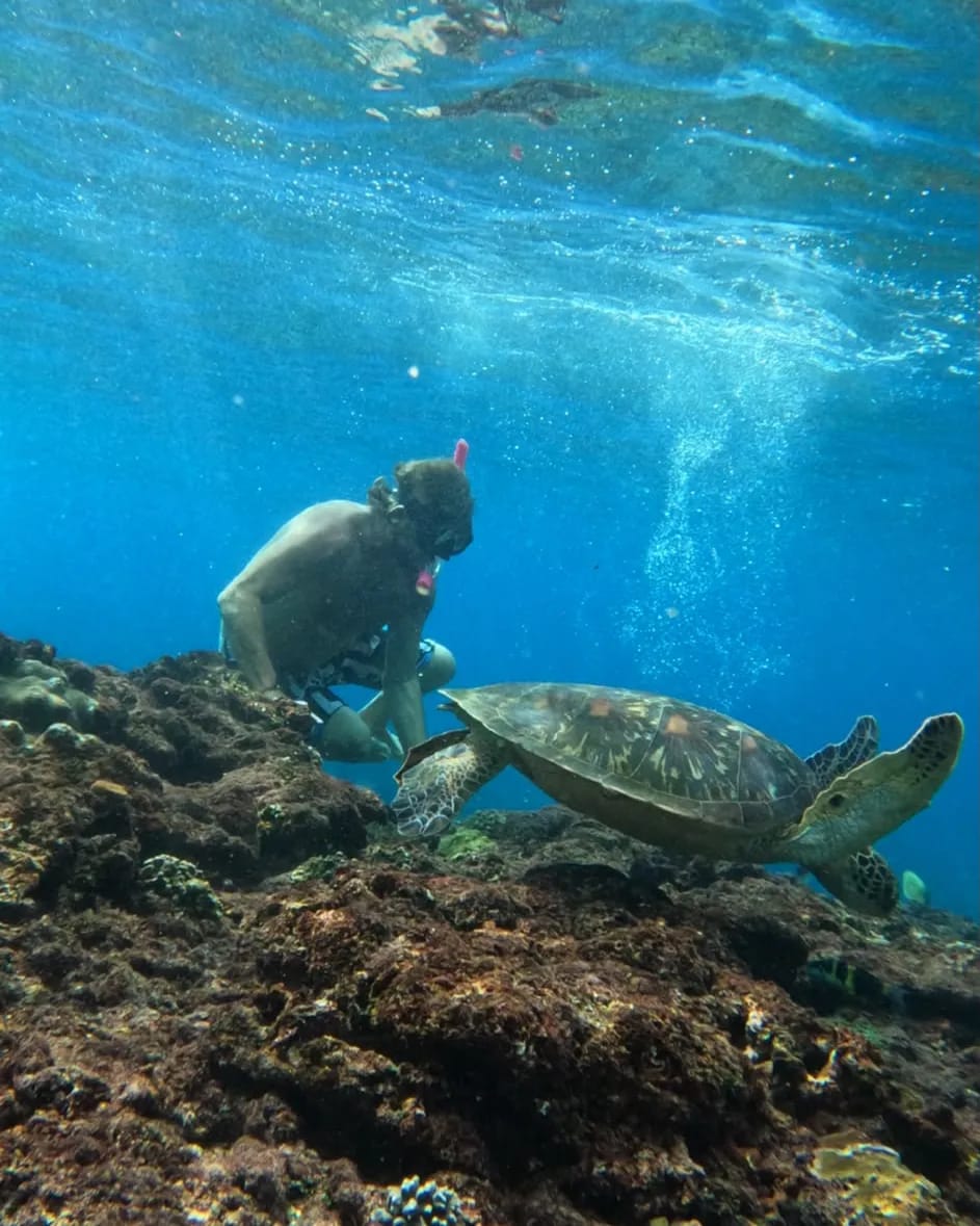 A snorkeller swimming above a turtle on the reef