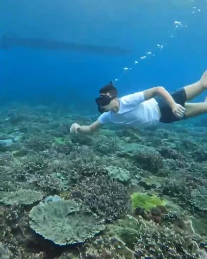 A freediver gliding down along the coral reef