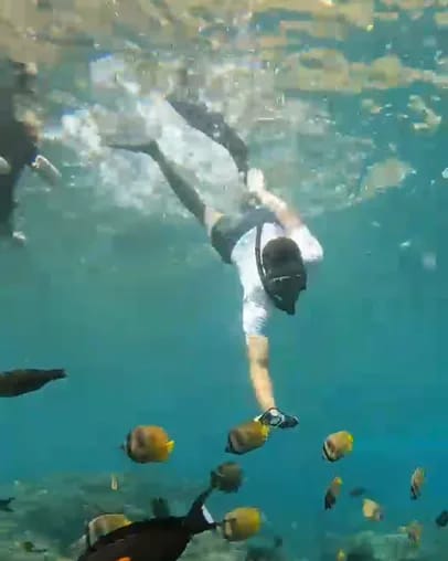 Snorkellers swimming over the reef among schools of fish