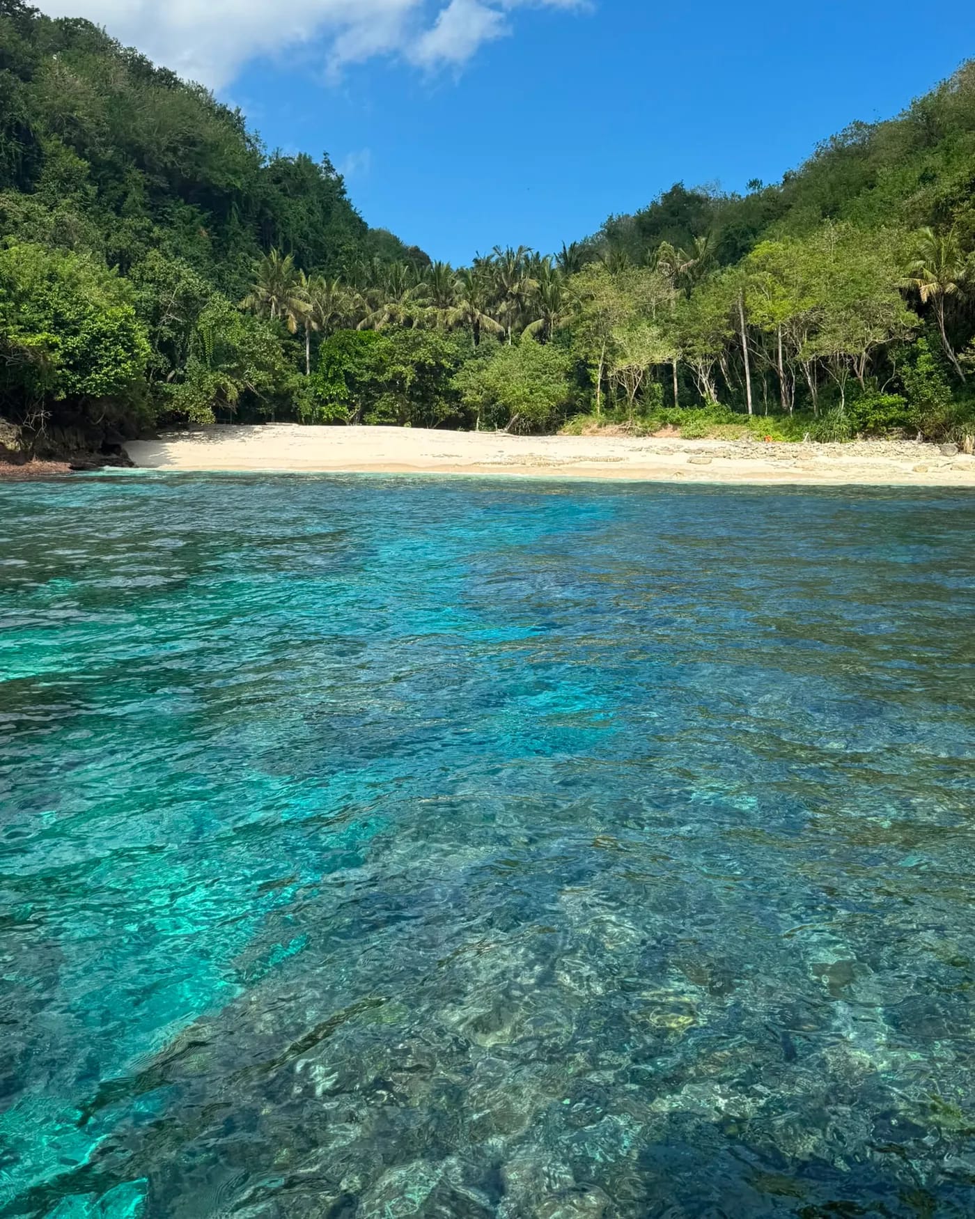 Clear reef water in front of a quiet beach